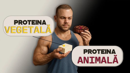 proteina vegetala si animala 